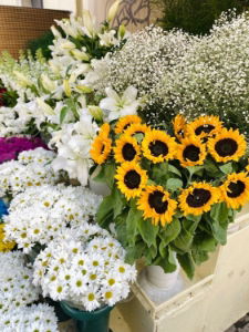 free-photo-of-beautiful-flowers-in-pots-in-garden