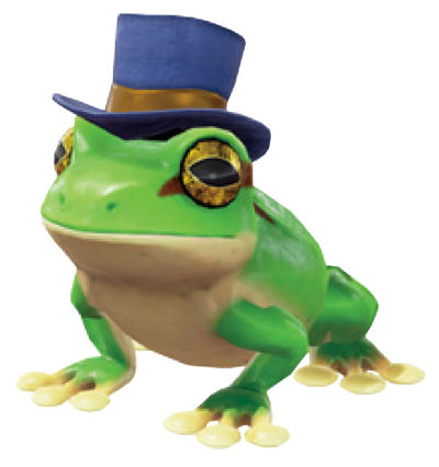 Frog in a hat
