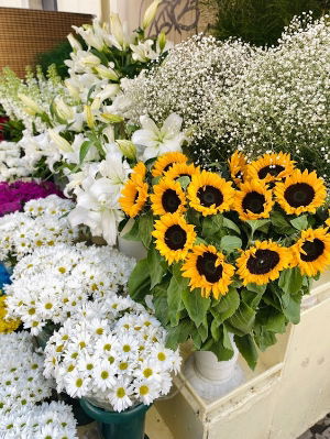 The Blossom Flower Boutique